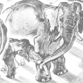 Technik: Gebrauchsgegenstände